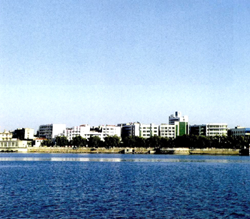 老河口市