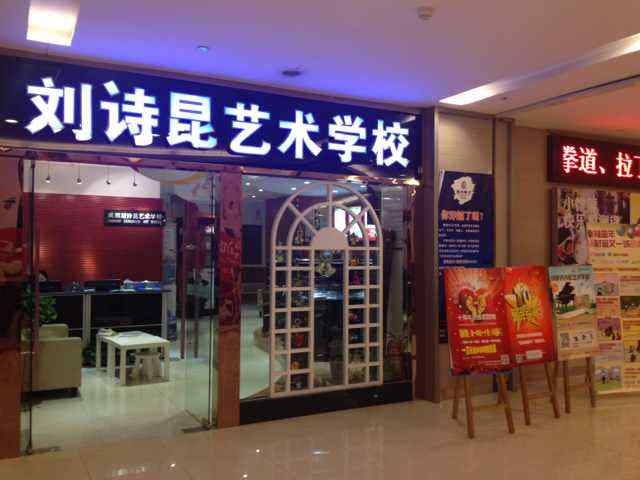 成都刘诗昆艺术学校