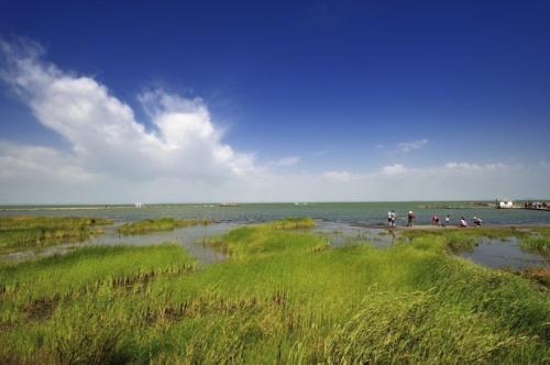 如中国湖南的洞庭湖湖滨平原,江苏的太湖平