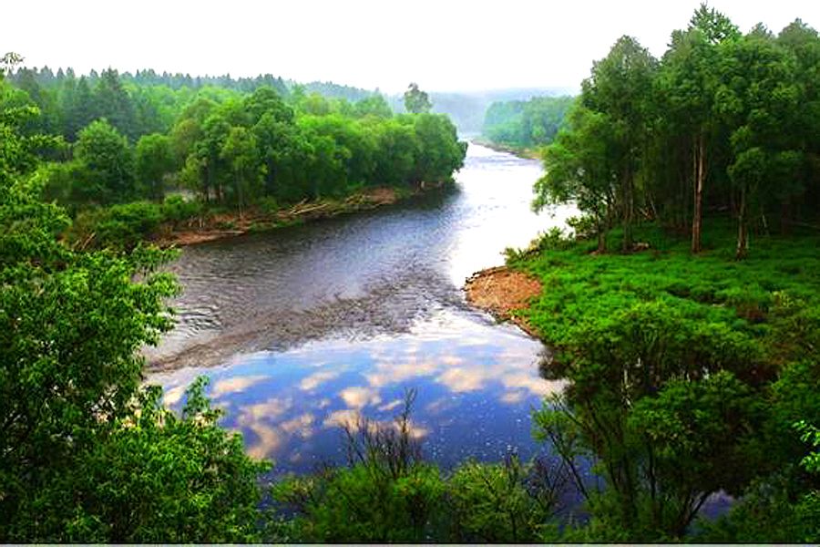 大沾河森林公园