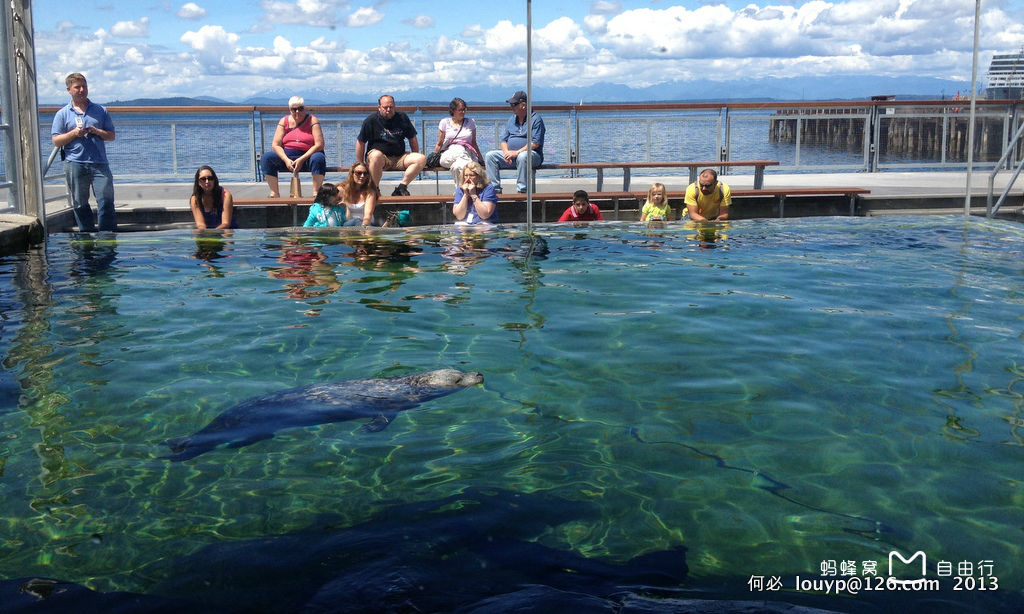 西雅图水族馆