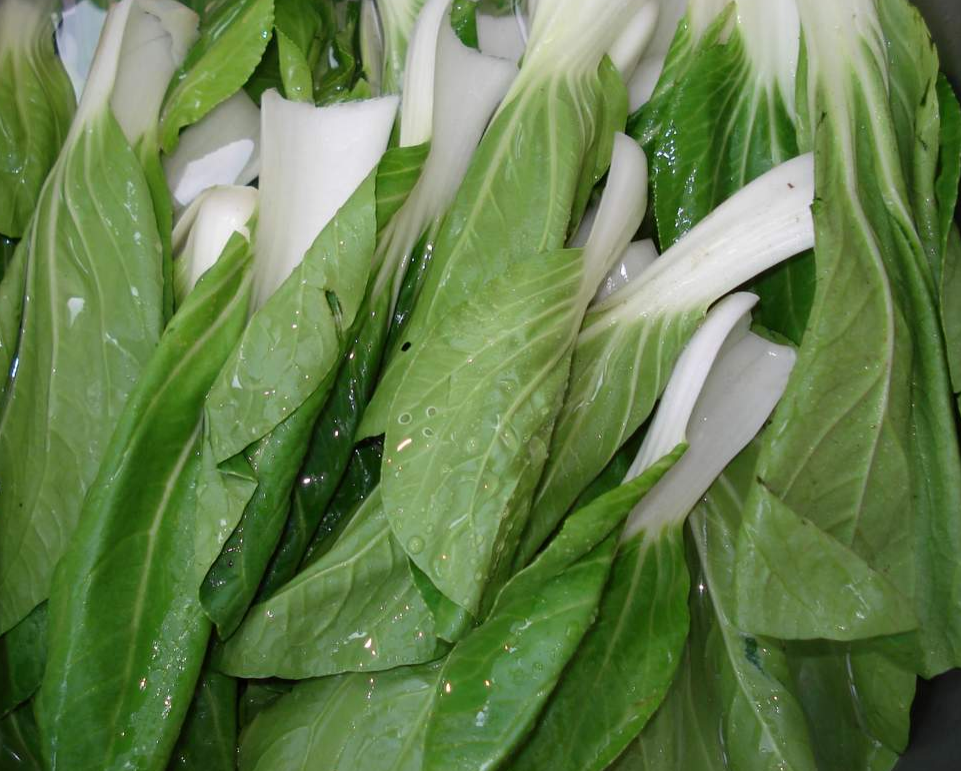  p>绿叶菜是一类主要以鲜嫩的绿叶,叶柄和嫩茎为产品的 a target="