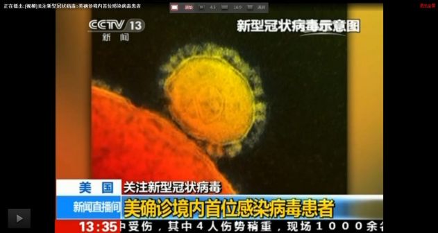 新型冠状病毒示意图