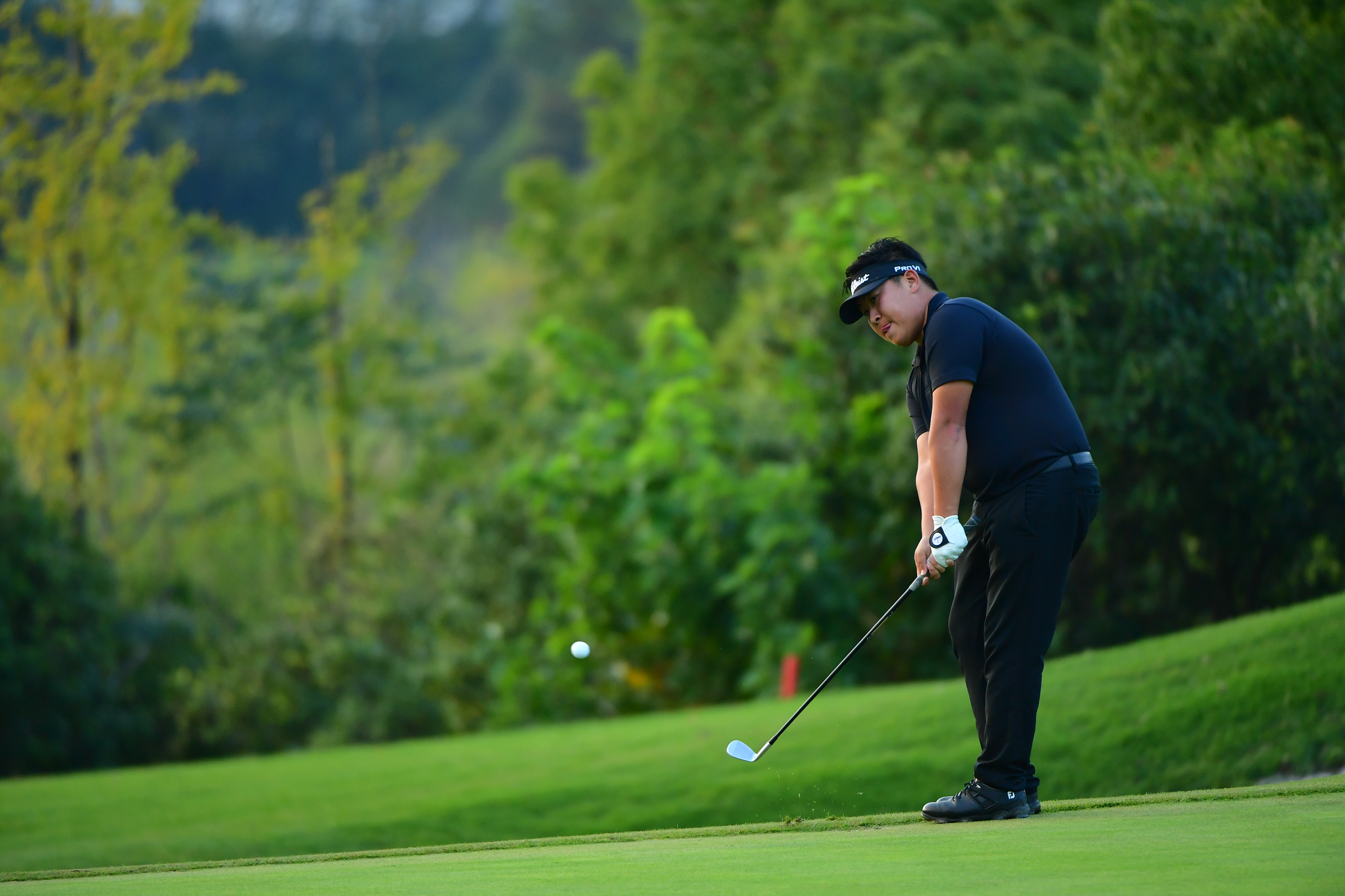  p data-id="gnvgfb9vjb">杨伊农,男,北京人,中国高尔夫球运动员.