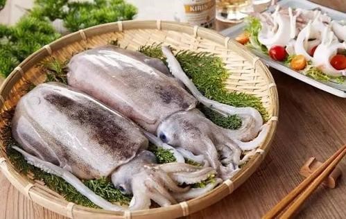 食用价值 营养价值 药用价值兼得的花枝 对小主身体是极好的 百科ta说