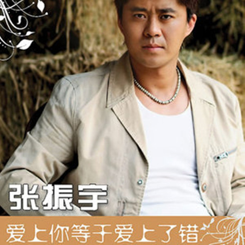 《爱上你等于爱上错》是张振宇演唱的一首歌曲,由王帅作词作曲