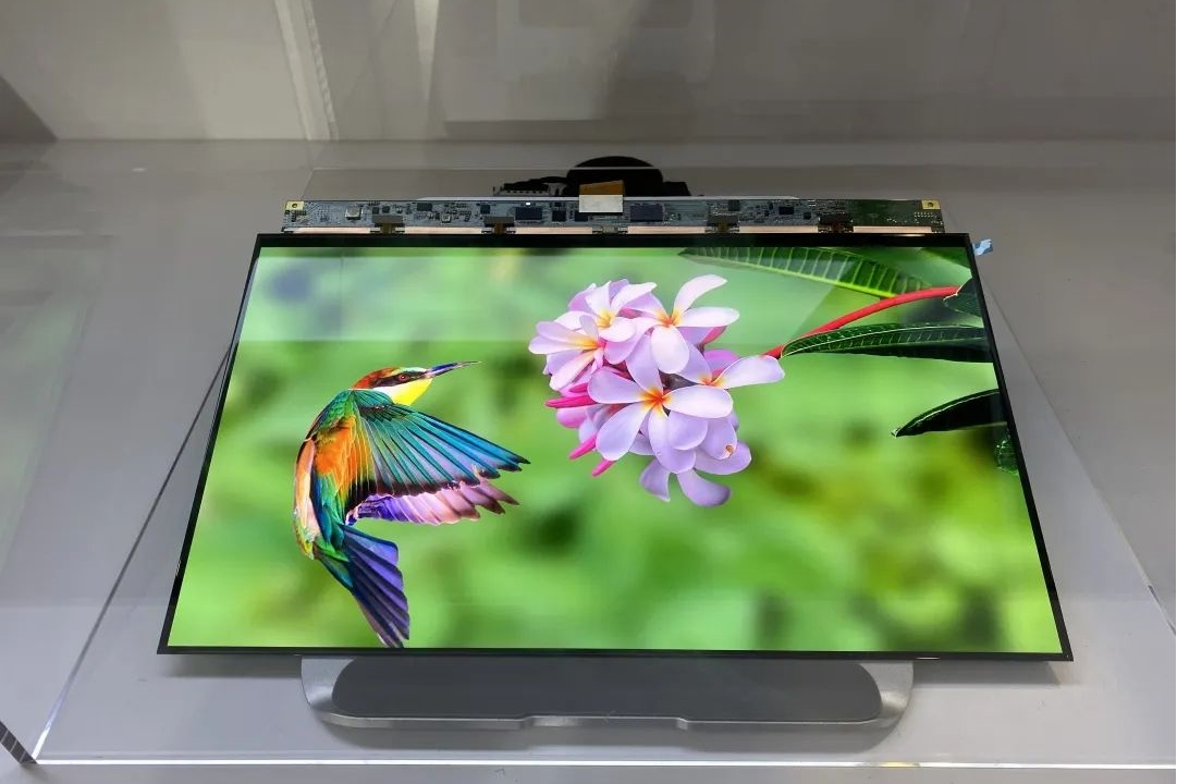 京东方 f-oled ltpo 变频显示屏
