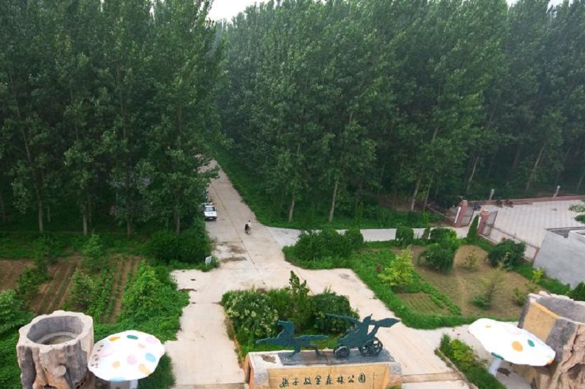 市 a target="_blank" href="/item/惠民县">惠民县 /a>的一座公园