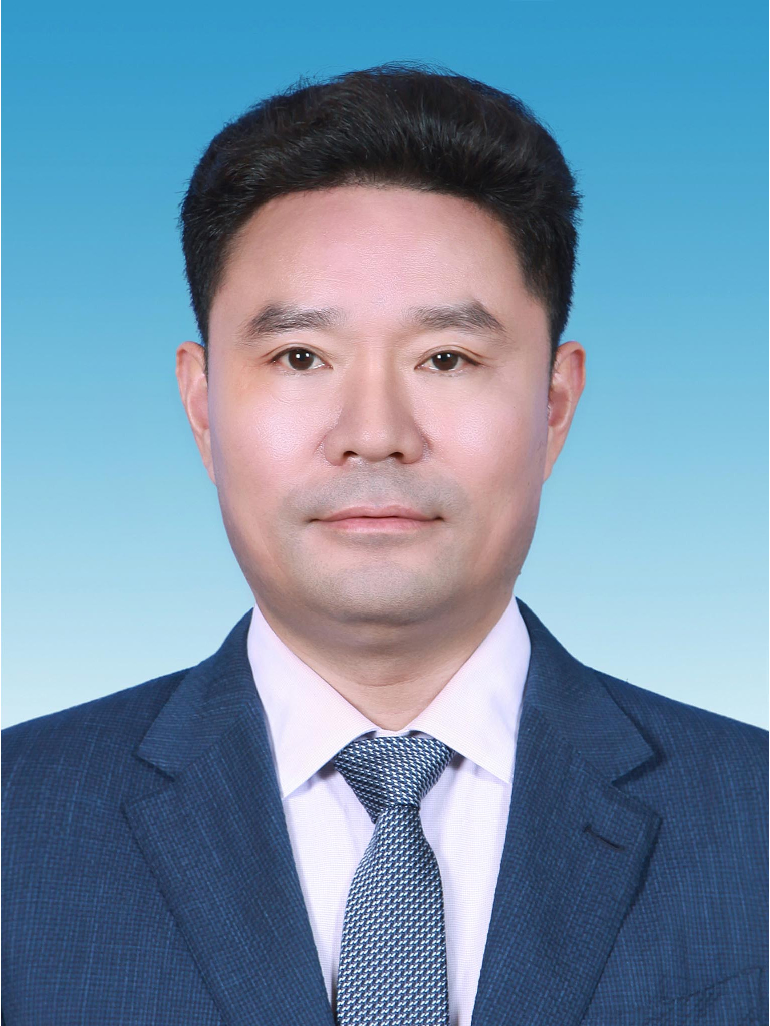 刘电新