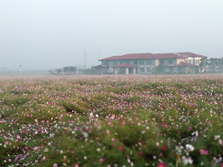 <p>白马教学科研基地2