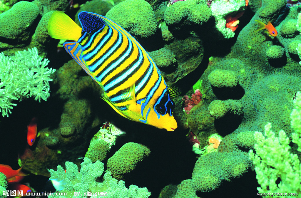 澳大利亚大堡礁