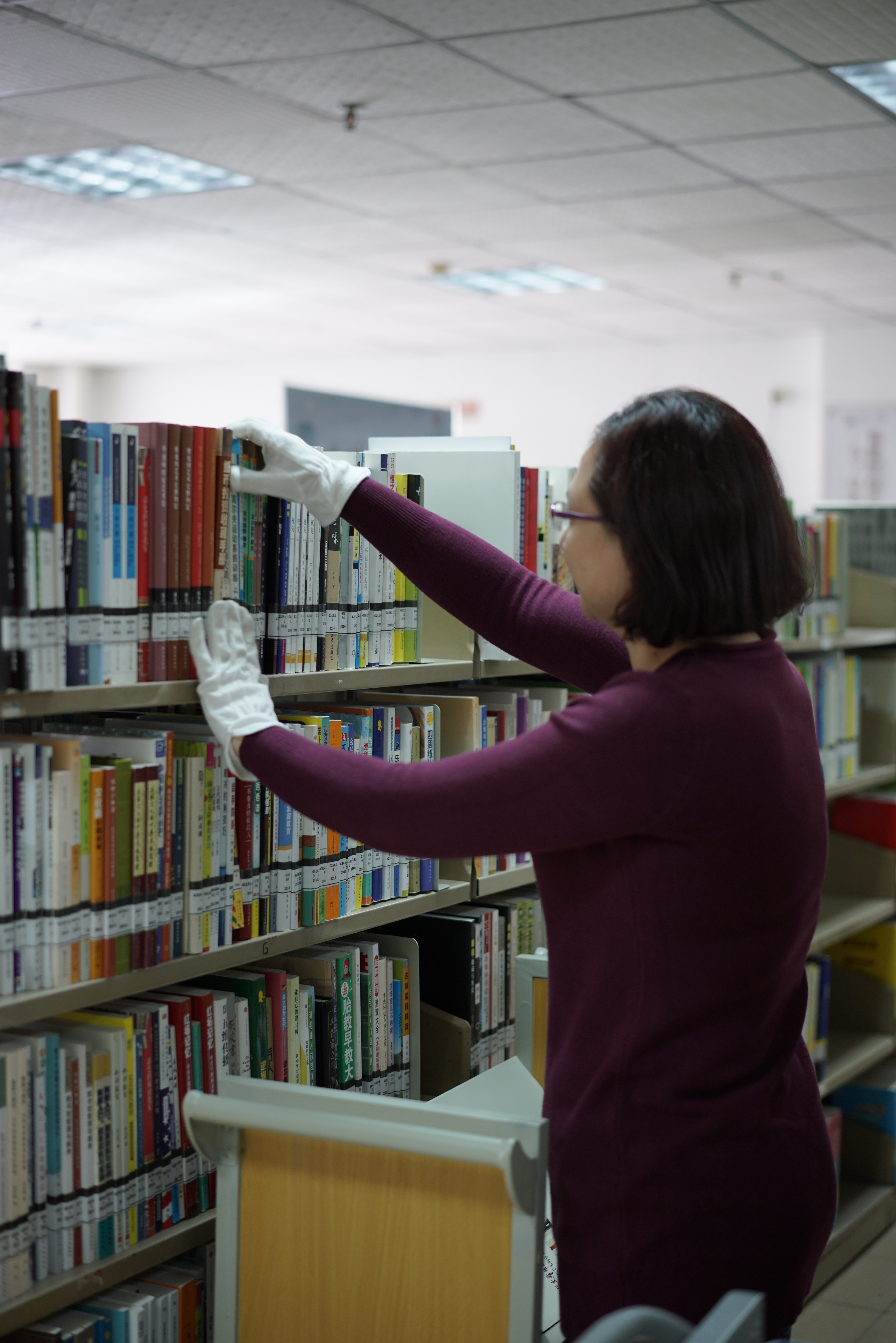 大良街道文化站,凤城少年宫,人民礼堂以及梁銶琚图书馆等单位和场馆