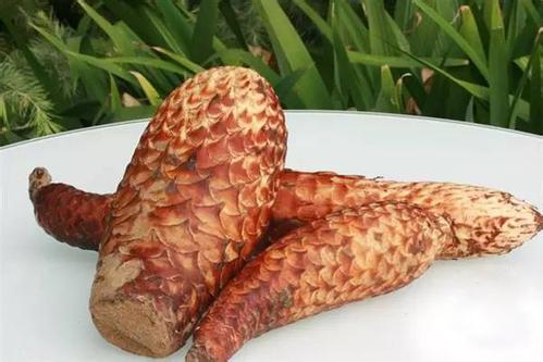 data-lemmaid="2936547">于田县 /a>特产,全国农产品地理标志