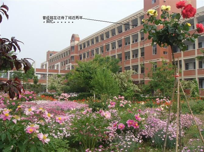 永城市永城高级中学