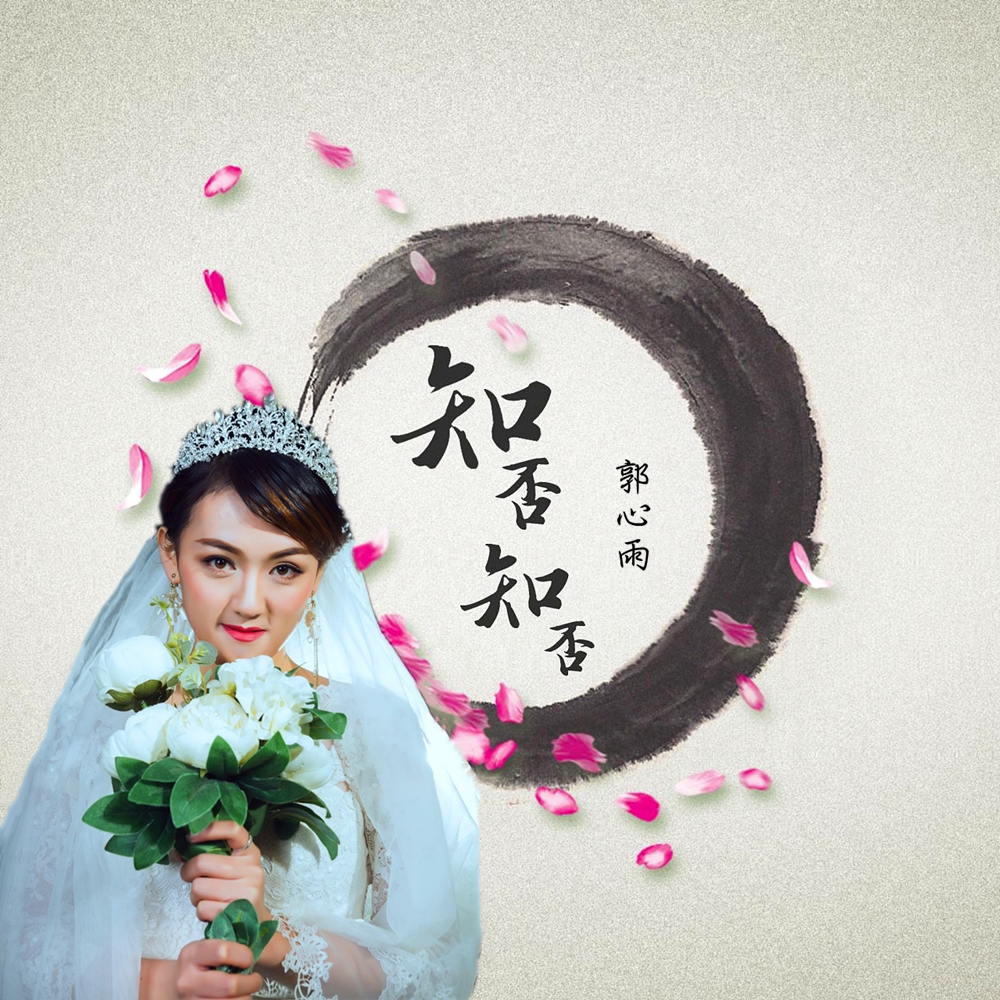 歌曲知否知否(歌曲知否知否视频)
