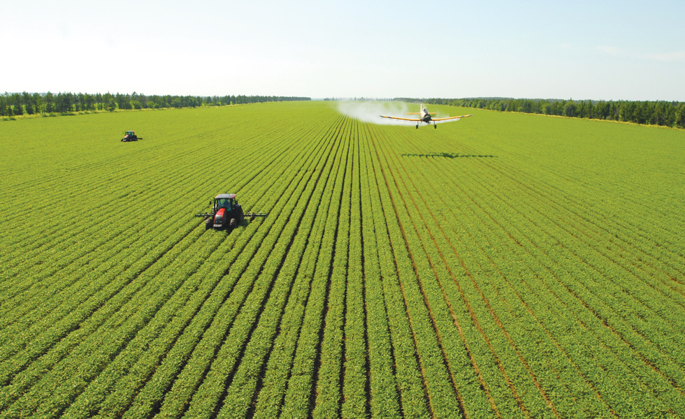  p>黑龙江省农垦总局撤销前,为黑龙江省人民政府与中华人民共和国农业