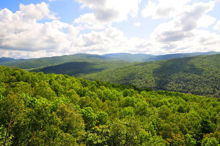  p>东北平原,又称 a target="_blank" href="/item/松辽平原/6099032"