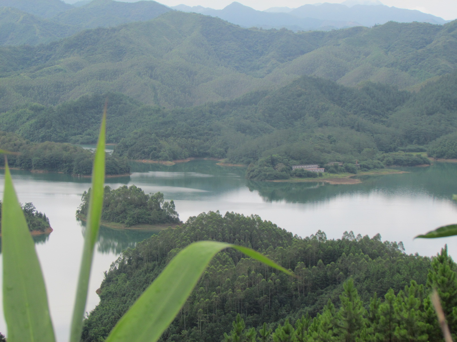 广东恩平七星坑省级自然保护区