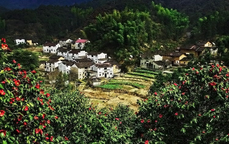  p data-id="gnfagtzusn">十八亩段自然村,隶属于江西省上饶市德兴市