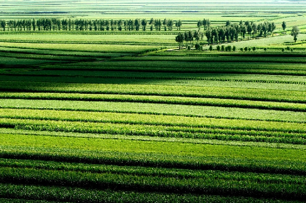 data-lemmaid="556098">东北平原 /a>的东北部分,"三江"指 a target="