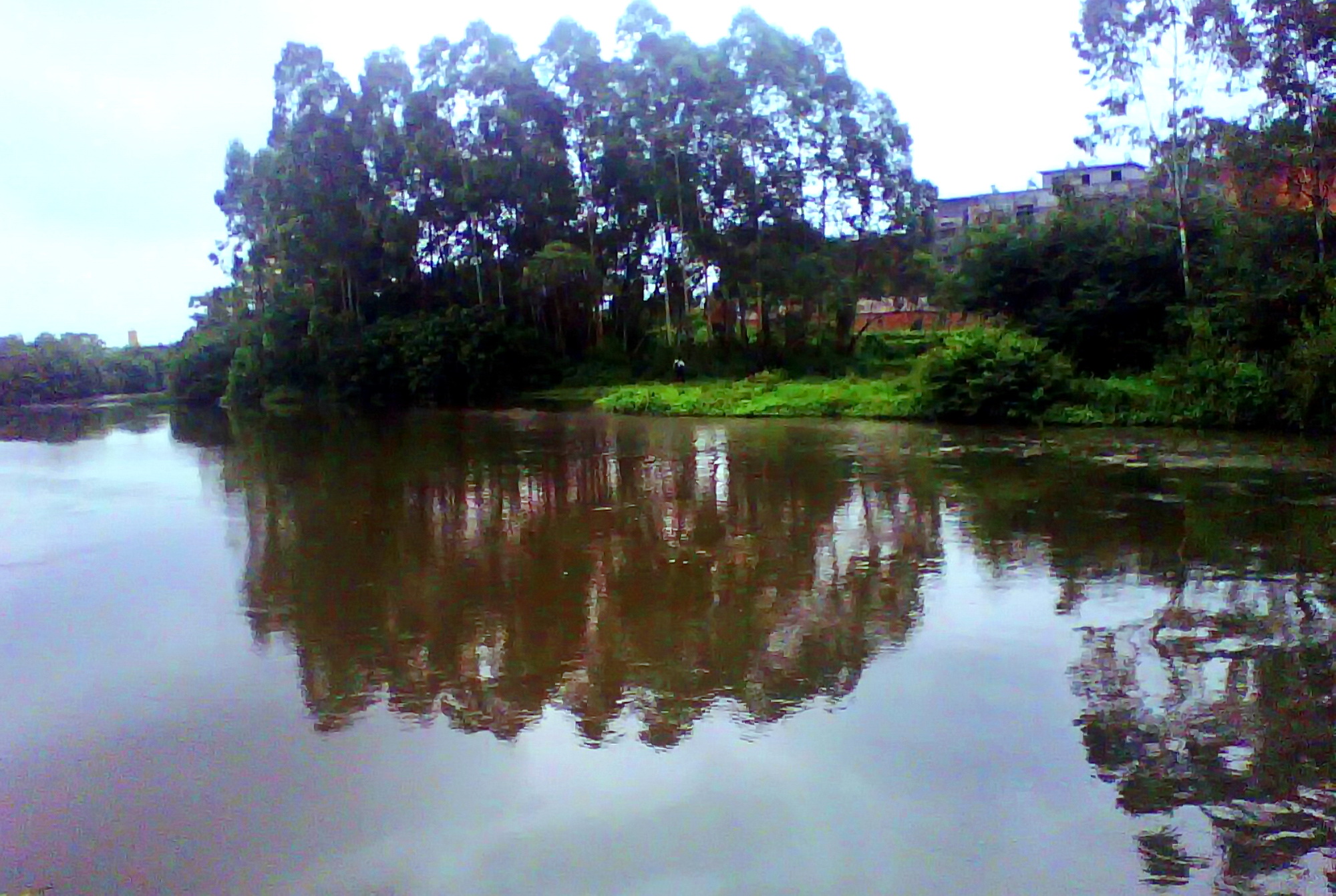 广西博白县龙潭镇