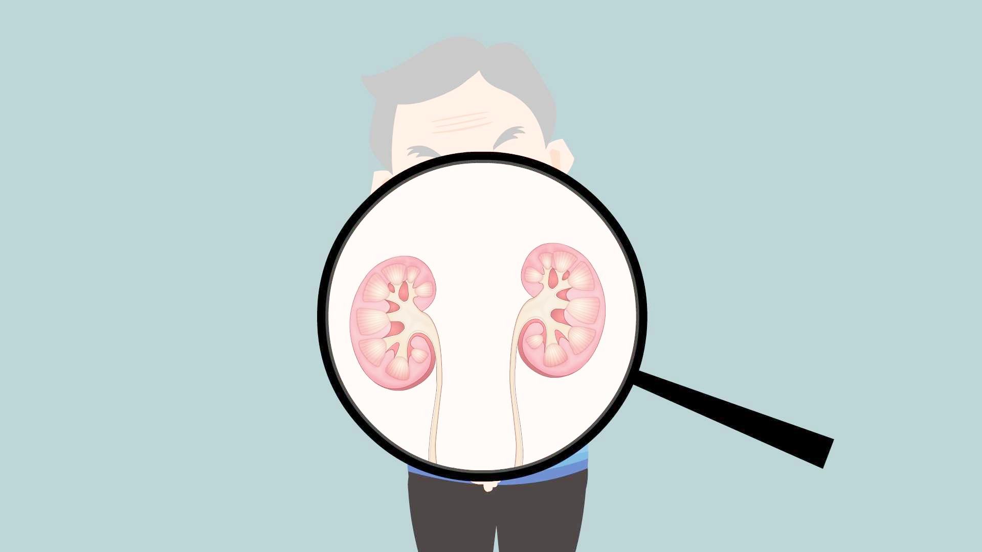 如肾肿瘤,肾囊肿,肾脏脓肿,肾盂结水,肾结石,肾下垂等