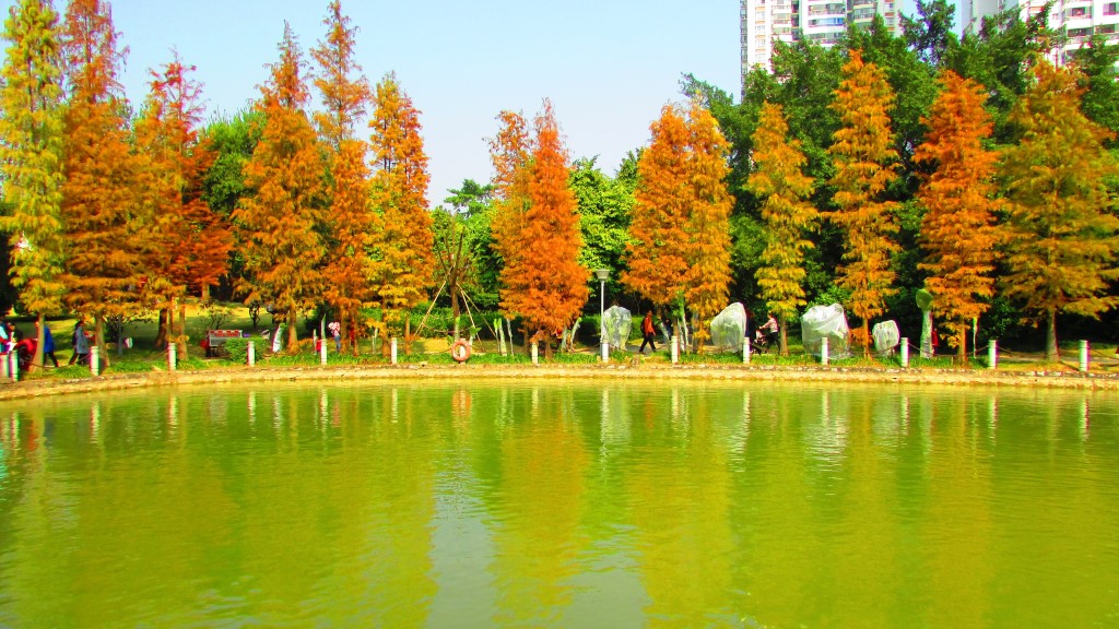  p>金花茶公园是全国首家以种植"花族皇后" a target="_blank" href="