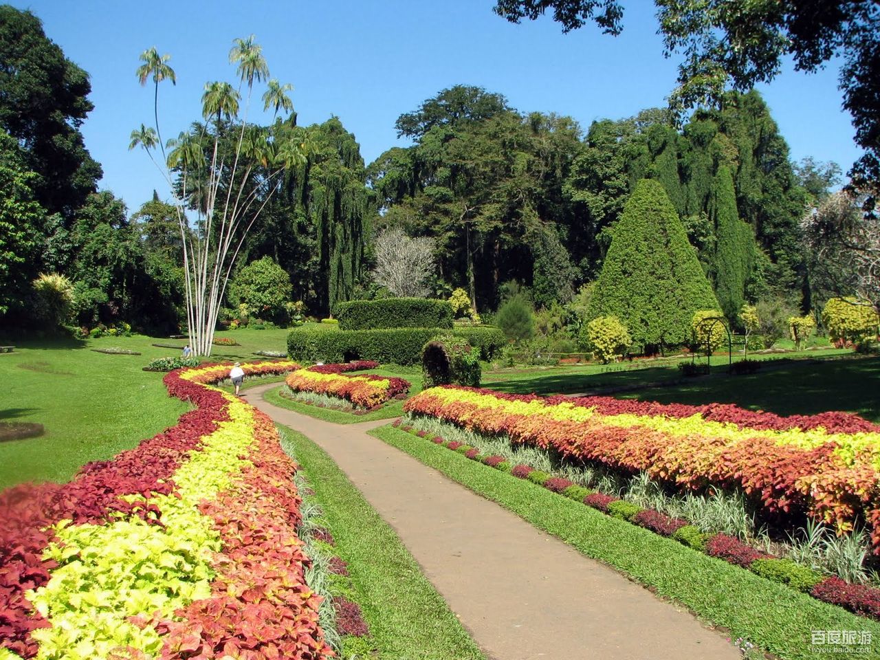 singapore botanic garden