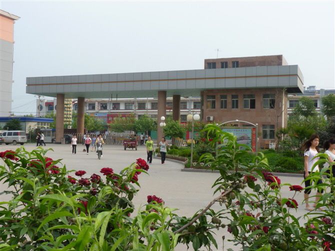 山东省成武第二中学