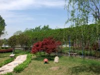 滦南一中是河北省重点中学,位于县城北元代