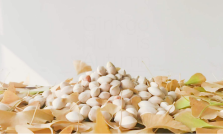 宁恩是什么来路，它真的存在吗？真如传说那么恐怖吗？_百科TA说