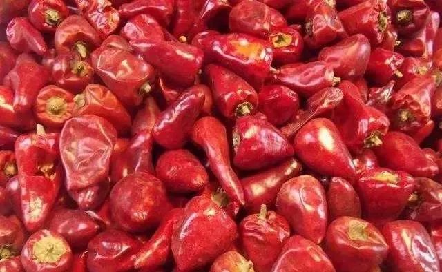 绥阳子弹头辣椒