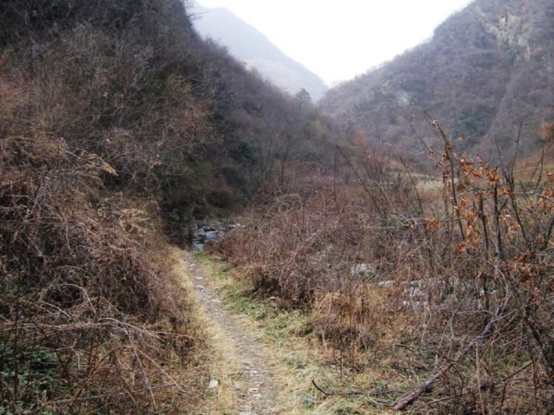  p data-id="gnwq8qk96e">首阳山是秦岭北坡著名高峰, a target="
