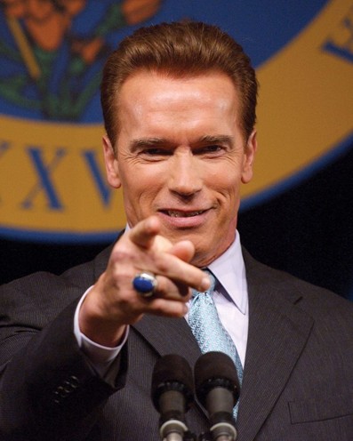 运动员,演员,导演,制片人,加州州长,政治家,拥有美国/奥地利双重国籍