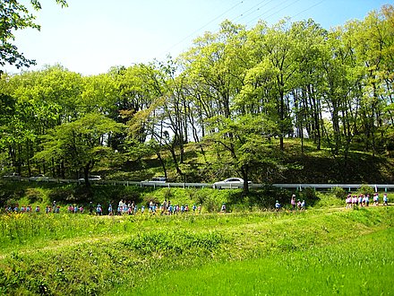  p data-id="gnwjqt3c4d">羊山公园(羊山生态森林公园)位于 a target=