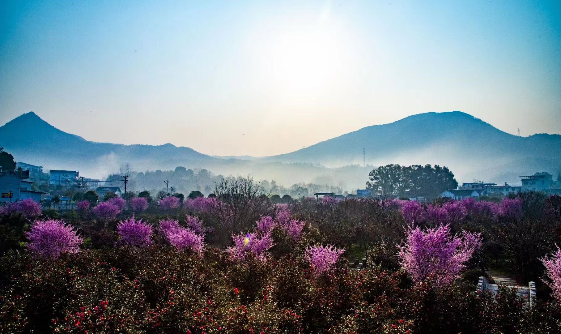  p data-id="gnwxb0jw31">燕儿谷景区地处湖北省黄冈市罗田县骆驼坳镇