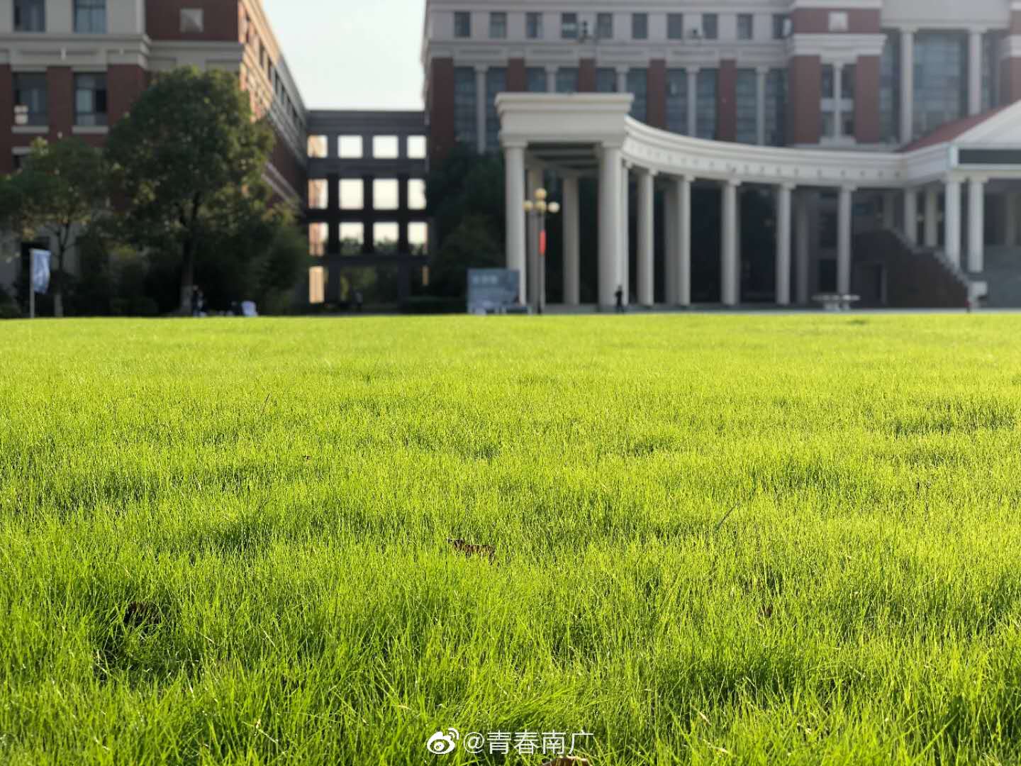 ýѧϹѧԺ_ýѧϹѧԺô_йýѧϹѧԺ