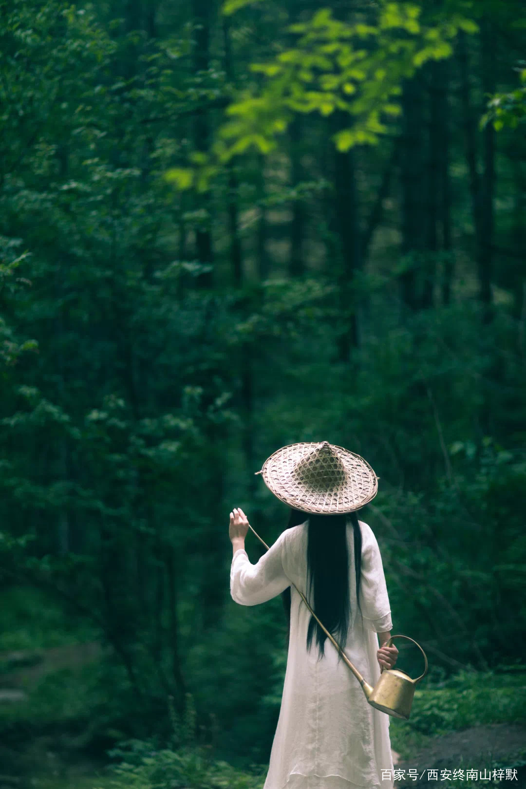 青箬笠，绿蓑衣，斜风细雨不须归｜丹青茶宿·山居笔记（一）_百科TA说