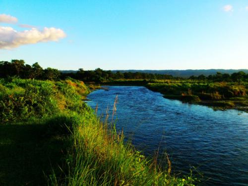 尼日尔河流域的w国家公园位于热带草原与热带森林之间的过渡地带