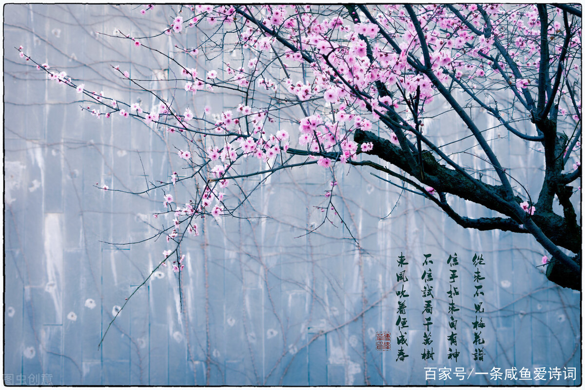 诗词里的梅花：冰雪林中著此身，不同桃李混芳尘_百科TA说
