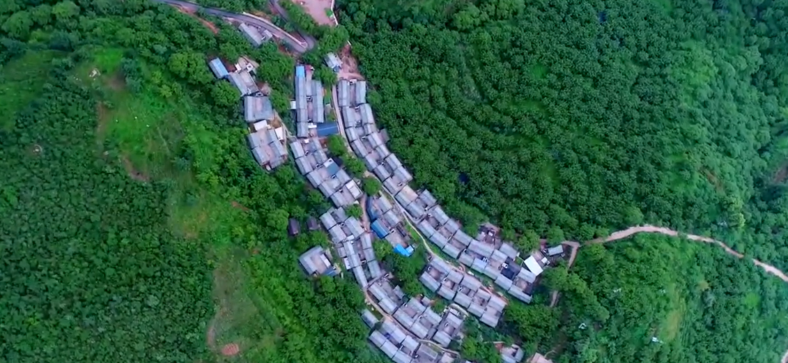  p>牛街彝族乡,隶属于云南省大理白族自治州弥渡县,地处 a target="