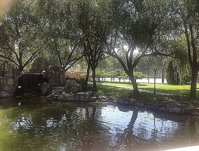 九鼎轩运动主题公园