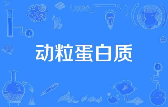 动粒蛋白质_百度百科