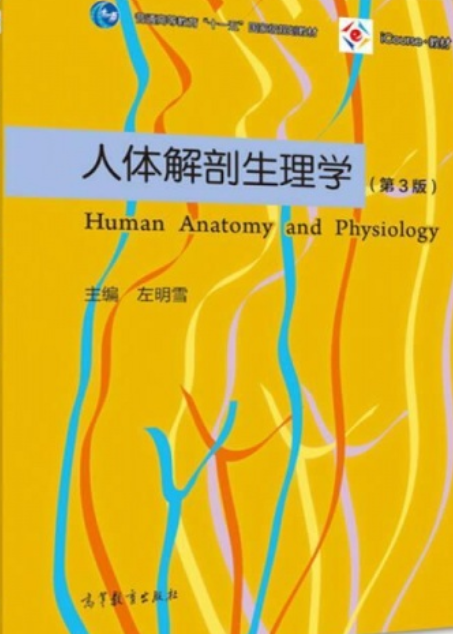 人体解剖生理学(第3版)
