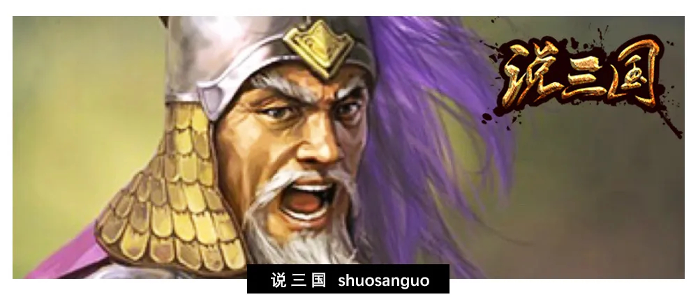 三国顶尖老将严颜为何在刘备入川之后就销声匿迹了？_百科TA说