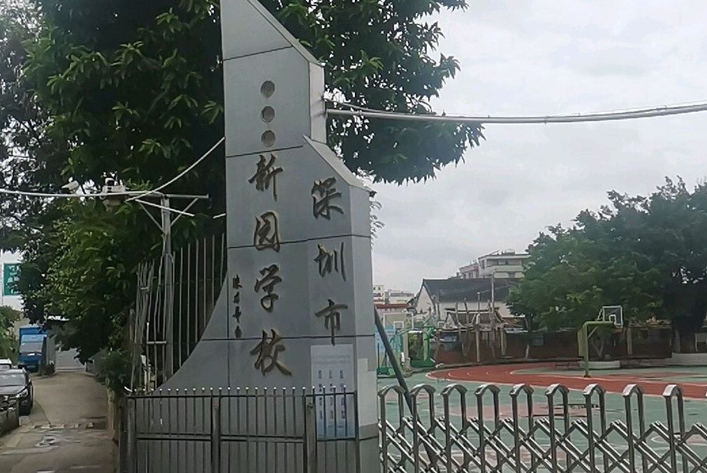 新园学校