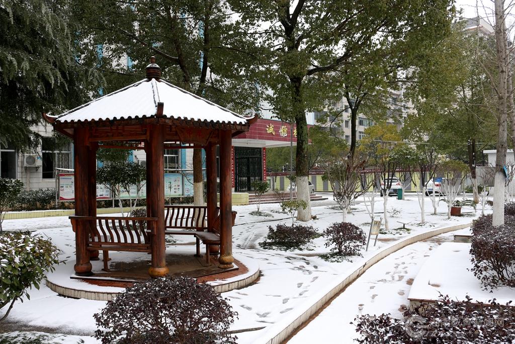 平江县新城学校