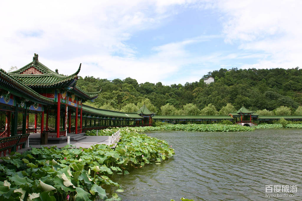  p>除了海宁盐官,位于萧山区南阳赭山的萧山钱江观潮城是另一个观赏