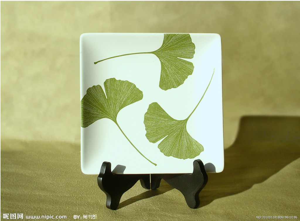 分叉脉序各条叶脉均呈多级的二叉状分枝,是裸子植物银杏具有的一种