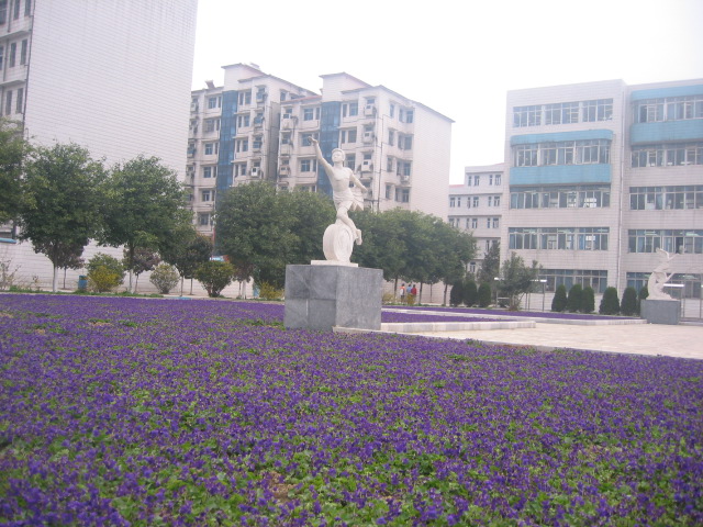  p> a href="#" data-lemmaid="753690">宜城 /a>市二中创建于1956年